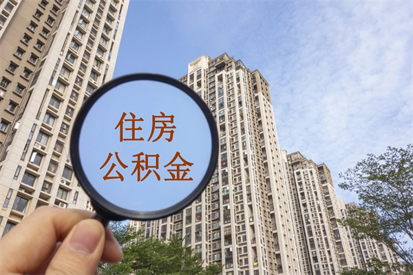 陆丰公积金代办（陆丰公积金代办费用是什么意思）